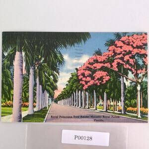 Vintage Florida Linen Postcard Royal Poinciana & Majestic Palm Trees 1944
